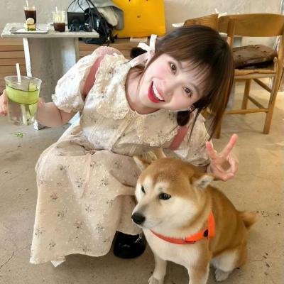 演员请就位第三季